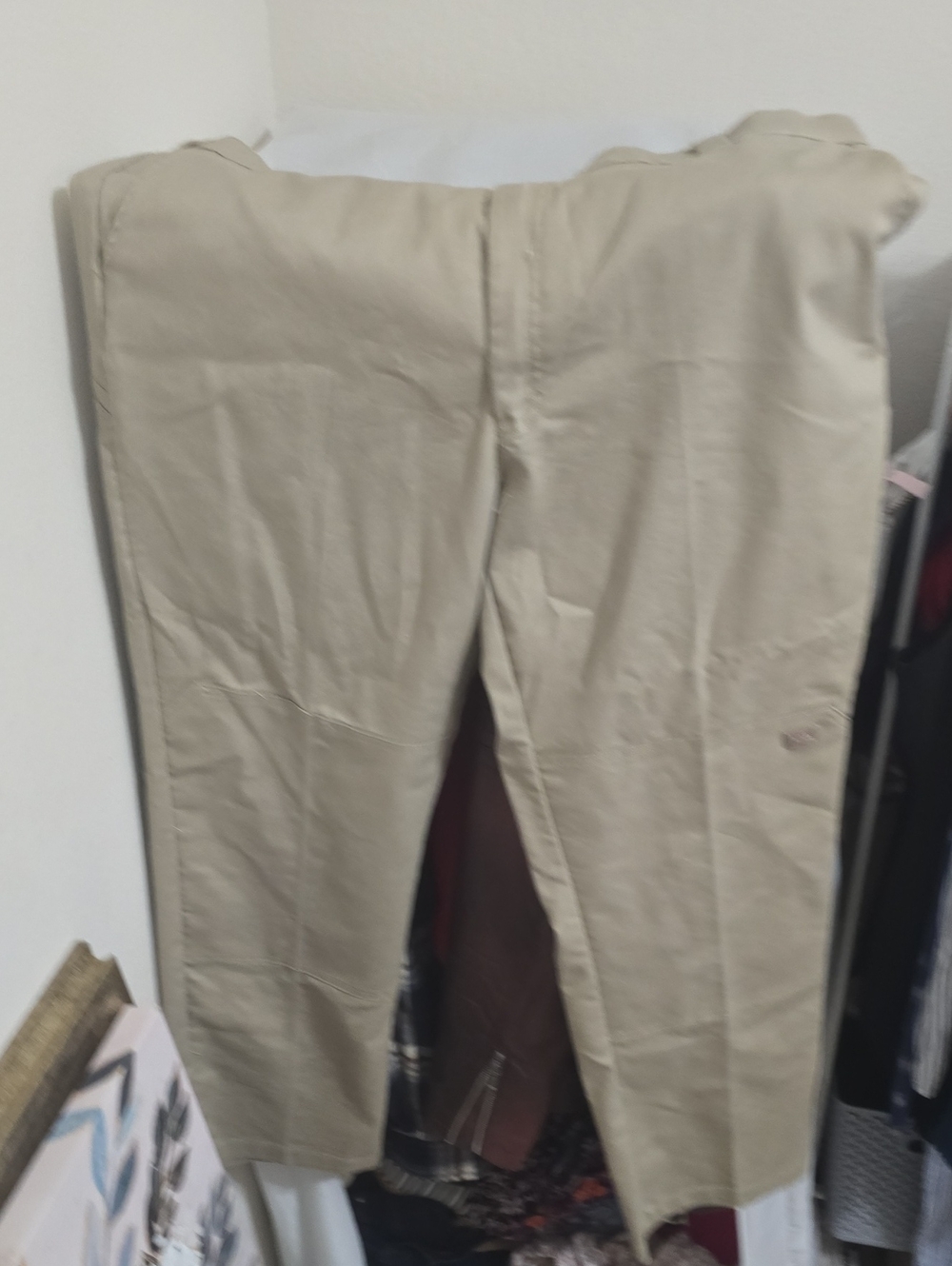 Dickies Work Pants